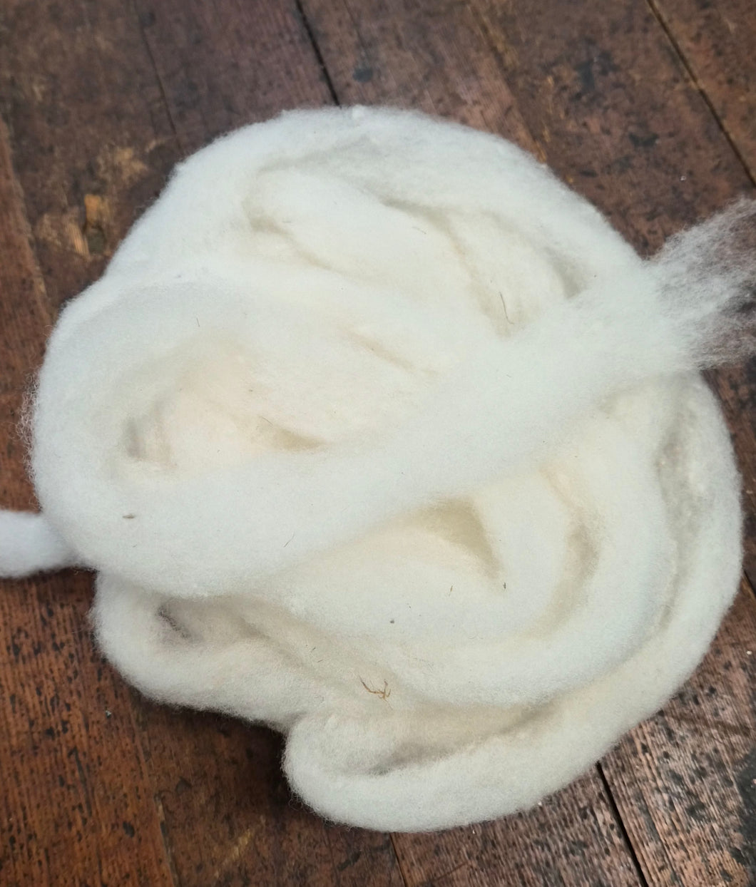 Texel cross wool - 4oz