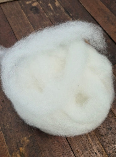 Border Leicester Wool Roving - Great for Beginners
