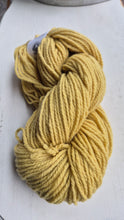 Cestari Mt Vernon 100% wool worsted weight Yarn