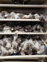 Washed Jacob Wool Fleece