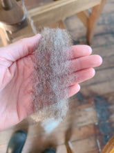 Jacob wool/alpaca blend roving - Whole fleece