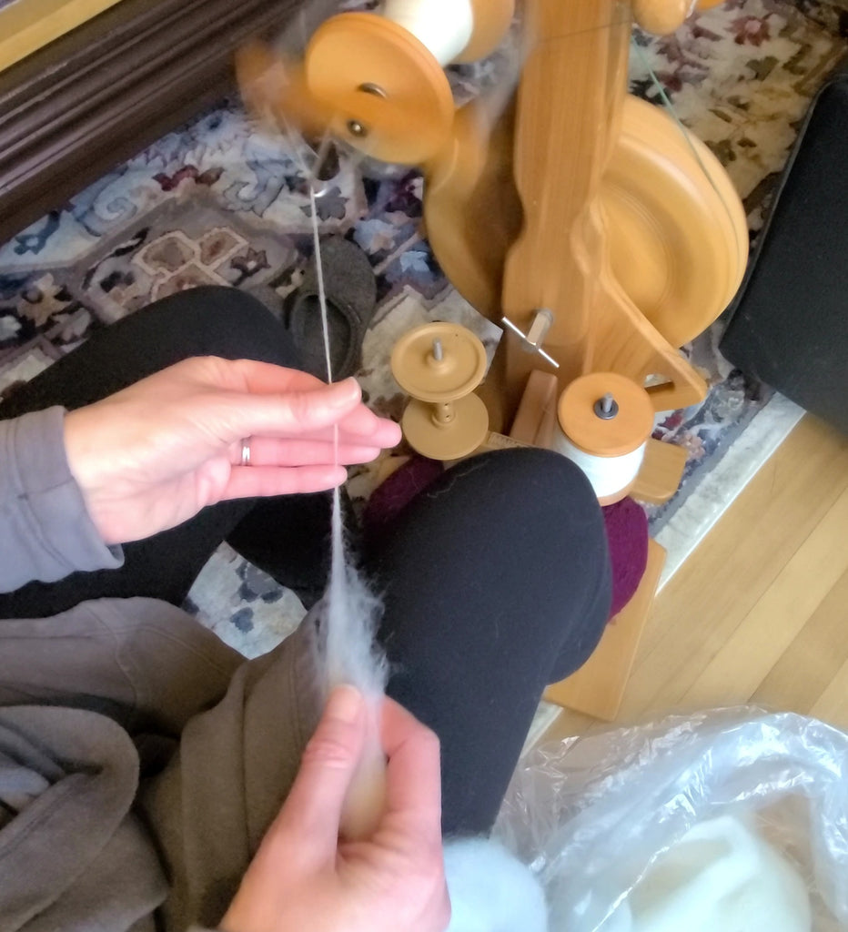 Learn to Spin Long Draw Online Course – Ewethful Fiber Farm and Mill